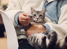 24-hour-veterinary-clinics-in-almaty-where-you-can-go-at-any-time