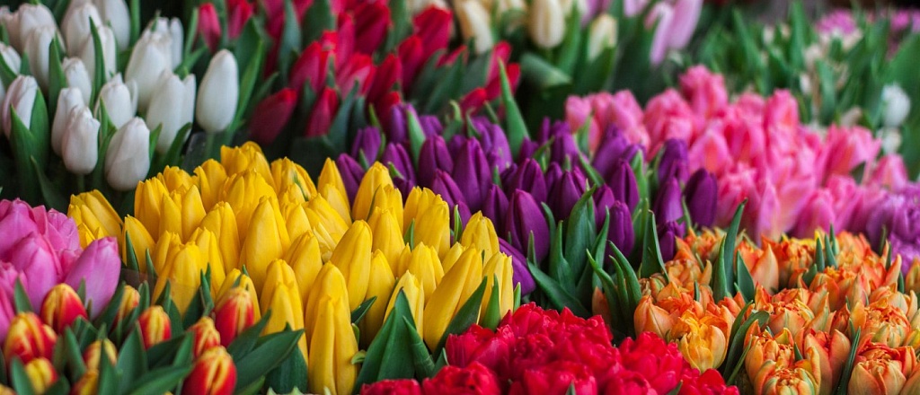 8-marta-v-bishkeke-10-sobytiy-chtoby-otmetit-prazdnik-yarko