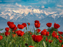 na-kogo-podpisat-sya-chtoby-byt-v-kurse-togo-chto-proishodit-v-almaty-i-nur-sultane