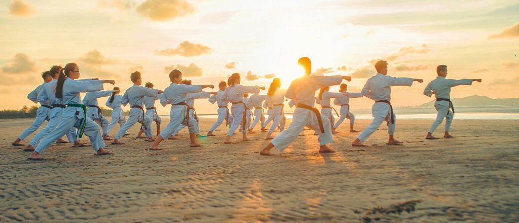 dzheki-chan-poyavitsya-v-prodolzhenii-karate-pacana