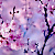 preview-image