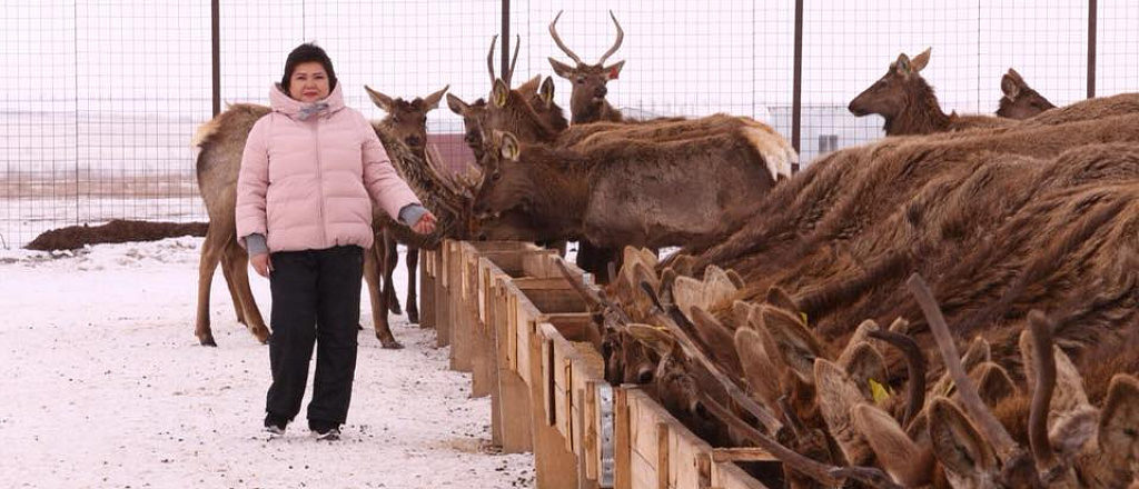 90-zhyldarda-y-k-s-pkerler-banu-t-legenova-medicinadan-ket-p-26-zhyl-biznespen-aynalysyp-zhat-any-zhayynda