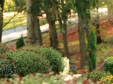 spring-in-dushanbe-where-to-go-and-what-to-do-in-april