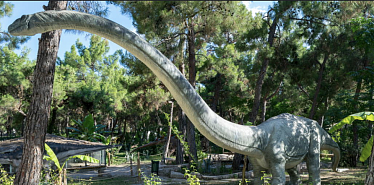В Астане появился парк с 50 анимированными динозаврами Dinoworld: график работы и стоимость
