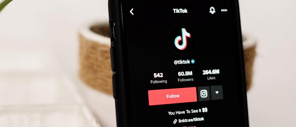 v-tiktok-poyavilis-stories