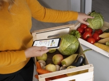 grocery-delivery-services-in-samarkand-to-save-you-time