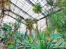 glavnyy-botanicheskiy-sad-v-almaty-otkryvaetsya-posle-rekonstrukcii