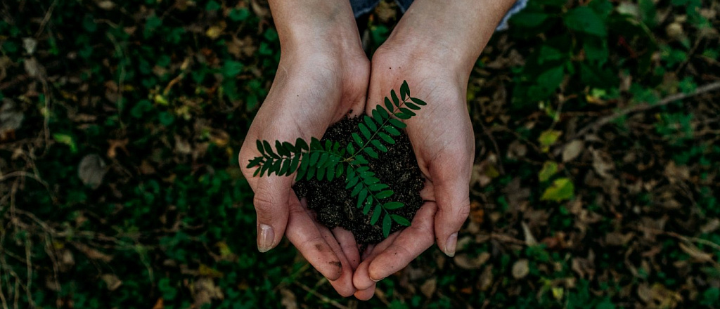 5-successful-eco-projects-in-almaty