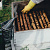 preview-image