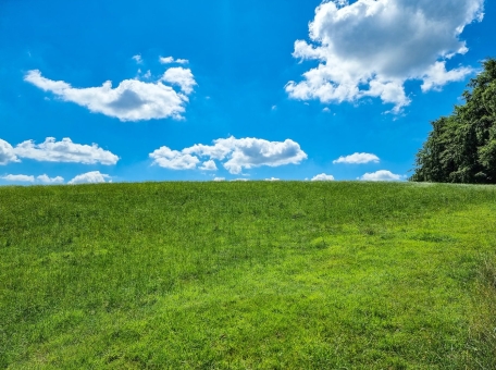 microsoft-vypustila-tradicionnyy-urodlivyy-rozhdestvenskiy-sviter-ego-posvyatili-zastavke-dlya-windows-xp