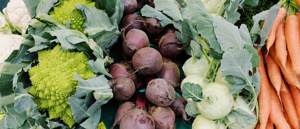 vse-o-zdorovom-i-ekologichnom-obraze-zhizni-interval-noe-golodanie-sekond-hendy-i-zero-waste-magazin