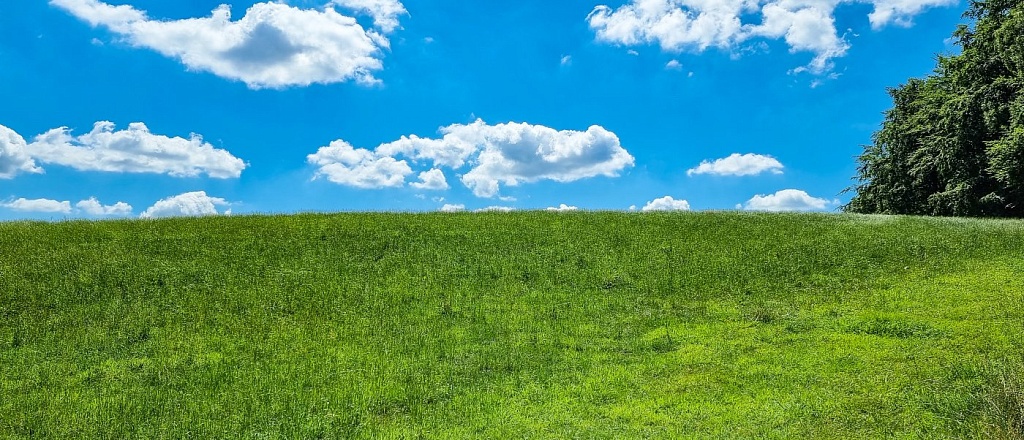 microsoft-vypustila-tradicionnyy-urodlivyy-rozhdestvenskiy-sviter-ego-posvyatili-zastavke-dlya-windows-xp