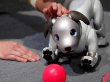 what-gadgets-and-applications-japanese-are-using
