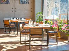 astronomicheskaya-observatoriya-vintazhnyy-magazin-i-restoran-ryadom-s-medeo-7-neobychnyh-mest-almaty