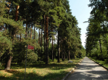 u-botanicheskogo-sada-v-almaty-poyavilos-mobil-noe-prilozhenie