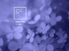 pantone-opredelil-cvet-2022-goda-im-stal-ottenok-sinego