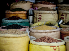 what-to-bring-from-vietnam-exotic-fruits-macadamia-nut-and-coconut-milk-powder