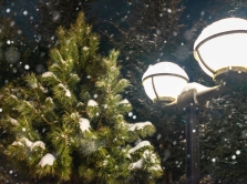 what-to-do-in-bukhara-in-winter-ideas-for-an-engaging-experience