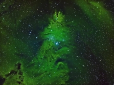 teleskopy-nasa-snyali-skoplenie-zvezd-v-vide-novogodney-elki