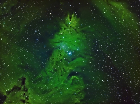 teleskopy-nasa-snyali-skoplenie-zvezd-v-vide-novogodney-elki
