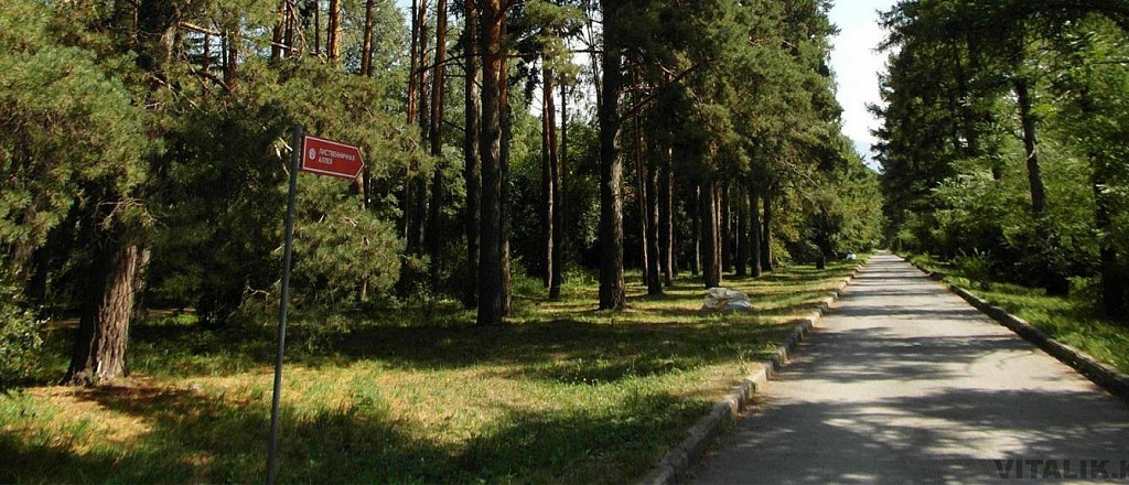 u-botanicheskogo-sada-v-almaty-poyavilos-mobil-noe-prilozhenie